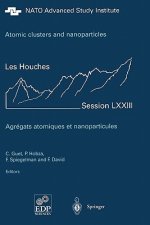 Atomic clusters and nanoparticles. Agregats atomiques et nanoparticules