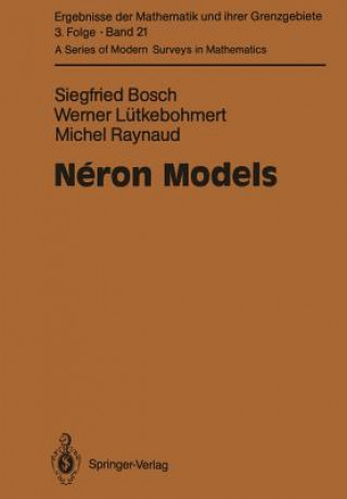 Néron Models
