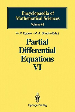 Partial Differential Equations VI