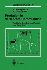 Predation in Vertebrate Communities