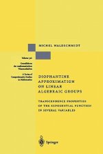 Diophantine Approximation on Linear Algebraic Groups