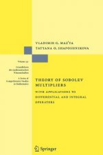 Theory of Sobolev Multipliers