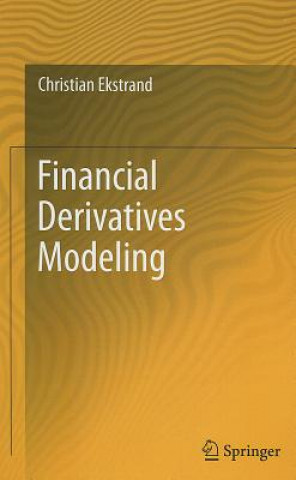 Financial Derivatives Modeling