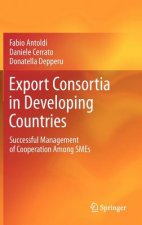 Export Consortia in Developing Countries