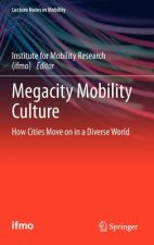 Megacity Mobility Culture
