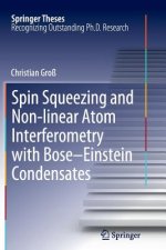 Spin Squeezing and Non-linear Atom Interferometry with Bose-Einstein Condensates