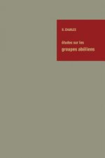 Études sur les Groupes Abéliens / Studies on Abelian Groups
