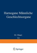 Harnorgane Mannliche Geschlechtsorgane