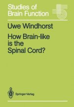 How Brain-like is the Spinal Cord?