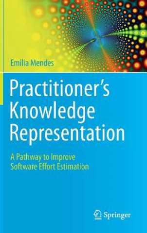 Practitioner's Knowledge Representation