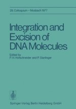 Integration and Excision of DNA Molecules