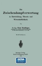 Wischendampfverwertung in Entwicklung, Theorie Und Wirtschaftlichkeit