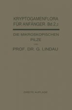 Mikroskopischen Pilze