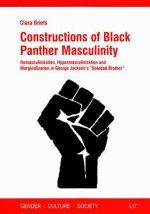 Constructions of Black Panther Masculinity