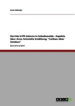Derrida trifft Adorno in Schadewalde - Aspekte uber Arno Schmidts Erzahlung Caliban uber Setebos