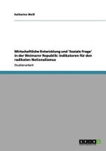 Wirtschaftliche Entwicklung und 'Soziale Frage' in der Weimarer Republik