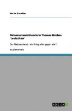 Naturzustandstheorie in Thomas Hobbes 'leviathan'