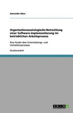 Organisationssoziologische Betrachtung einer Software-Implementierung im betrieblichen Arbeitsprozess