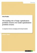 leading role of large capitalization portfolio returns over small capitalization portfolio returns