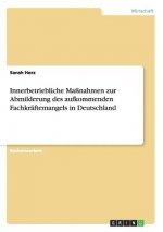 Innerbetriebliche Massnahmen zur Abmilderung des aufkommenden Fachkraftemangels in Deutschland