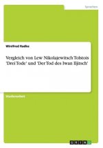 Vergleich von Lew Nikolajewitsch Tolstois 'Drei Tode' und 'Der Tod des Iwan Iljitsch'