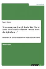 Romananalysen