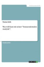 Was will Kant mit seiner 
