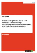 Weltmarktintegration: Chance oder Hindernis für Entwicklung? Entwicklungspolitische Maßnahmen und Wirkungen am Beispiel Brasiliens.