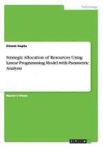 Strategic Allocation of Resources Using Linear Programming Model with Parametric Analysis