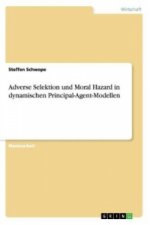 Adverse Selektion und Moral Hazard in dynamischen Principal-Agent-Modellen