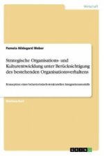 Strategische Organisations- und Kulturentwicklung unter Berücksichtigung des bestehenden Organisationsverhaltens