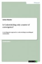 Is Codeswitching only a matter of convergence?