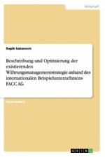 Beschreibung und Optimierung der existierenden Wahrungsmanagementstrategie anhand des internationalen Beispielunternehmens FACC AG