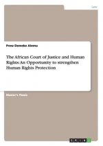 African Court of Justice and Human Rights