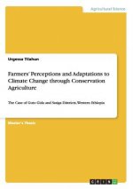 Farmers' Perceptions and Adaptations to Climate Change through Conservation Agriculture