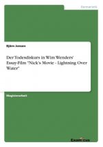Todesdiskurs in Wim Wenders' Essay-Film Nick's Movie - Lightning Over Water