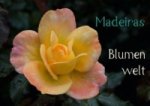 Madeiras Blumenwelt (Tischaufsteller DIN A5 quer)