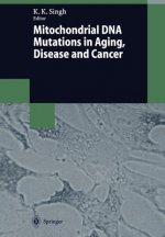 Mitochondrial DNA Mutations in Aging, Disease and Cancer