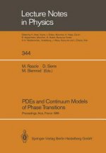 PDEs and Continuum Models of Phase Transitions