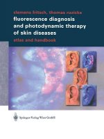 Fluorescence Diagnosis and Photodynamic Therapy of Skin Diseases