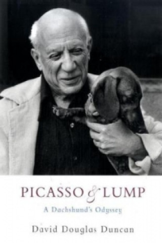 Picasso & Lump