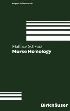 Morse Homology