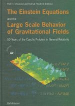 The Einstein Equations and the Large Scale Behavior of Gravitational Fields