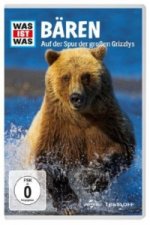 WAS IST WAS DVD Bären. Auf der Spur der großen Grizzlys, 1 DVD, 1 DVD-Video