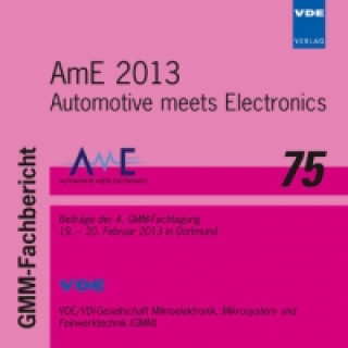 AmE 2013, 1 CD-ROM