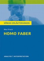Homo Faber von Max Frisch
