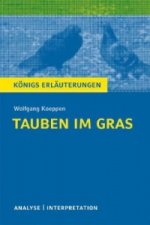 Interpretation zu Wolfgang Koeppen 'Tauben im Gras'