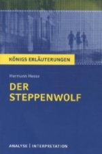 Hermann Hesse 'Der Steppenwolf'