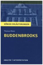 Thomas Mann 'Die Buddenbrooks'