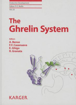 The Ghrelin System